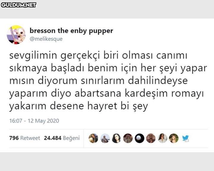 bresson the enby pupper...
