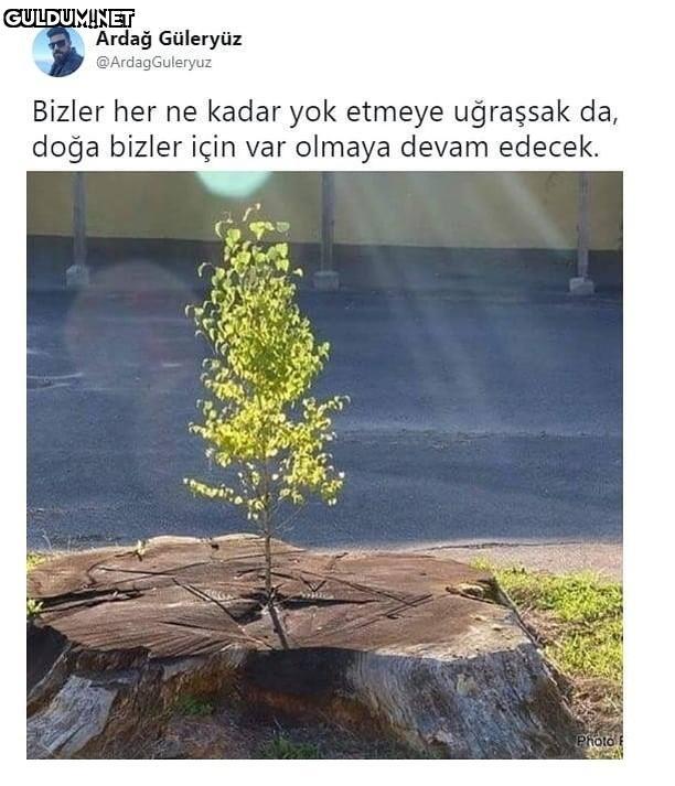 Ardağ Güleryüz...