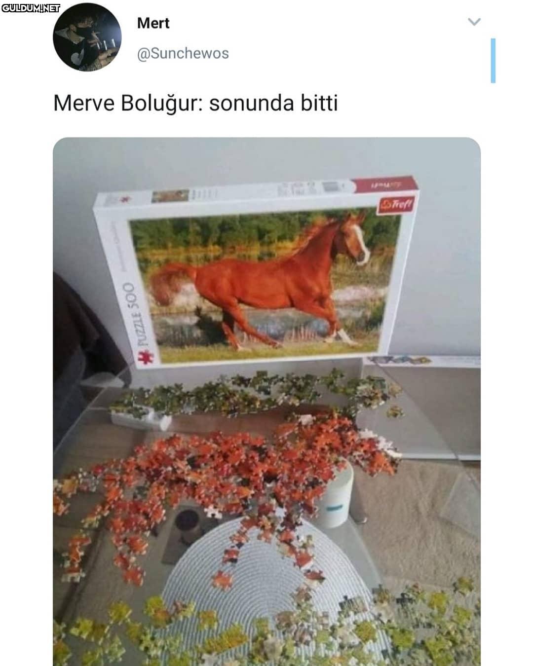 bu terslikte bi iş var...