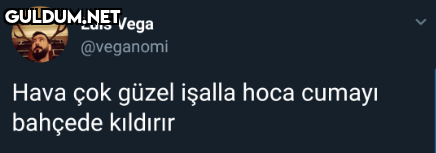 Luis Vega @veganomi Hava...