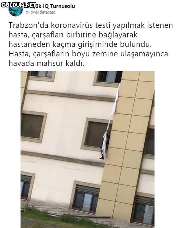 Düşük IQ Turnusolu...