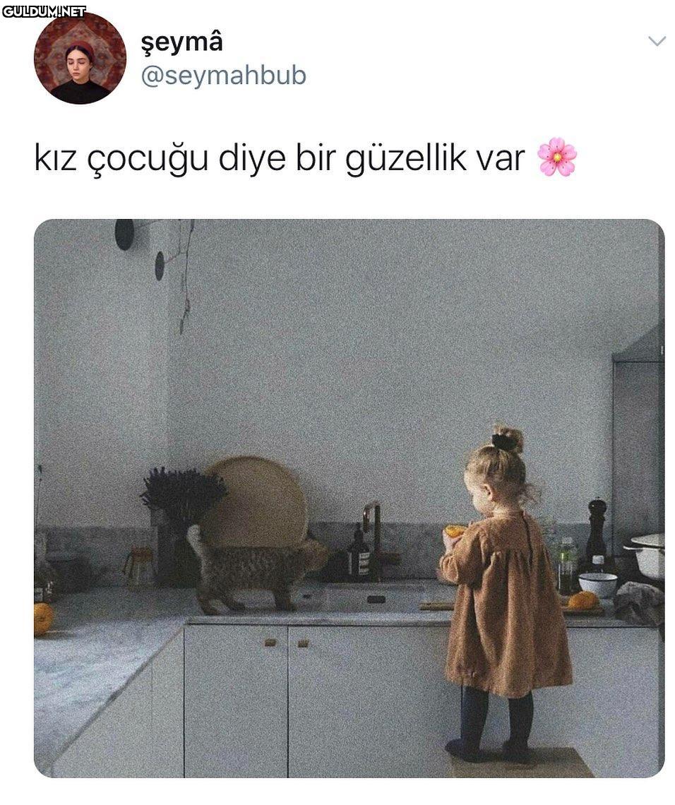 şeymâ @seymahbub kız...