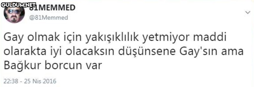 81MEMMED @81Memmed Gay...