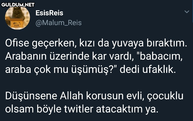 EsisReis @Malum_Reis Ofise...