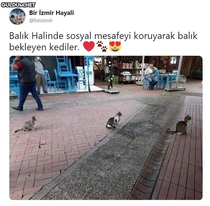 Bir İzmir Hayali...