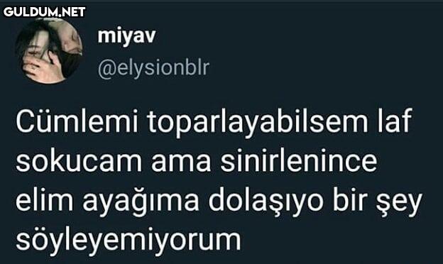 miyav @elysionblr Cümlemi...