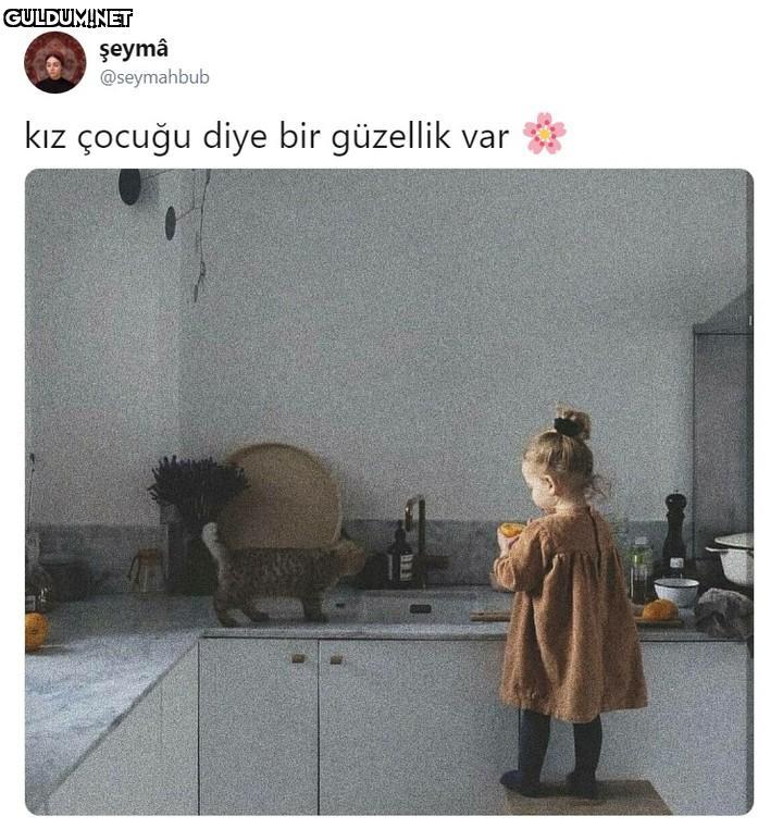 şeymâ @seymahbub kız...