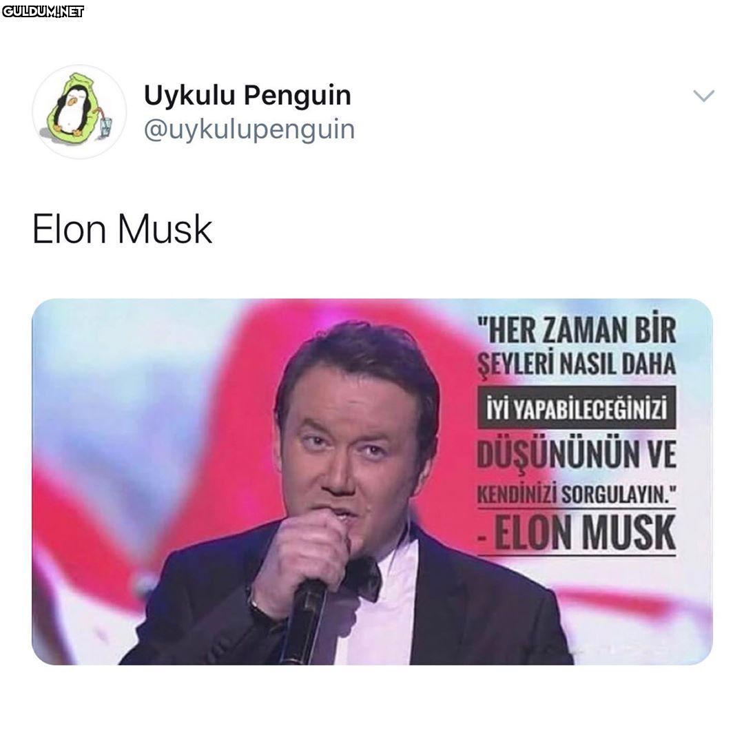 Uykulu Penguin G...