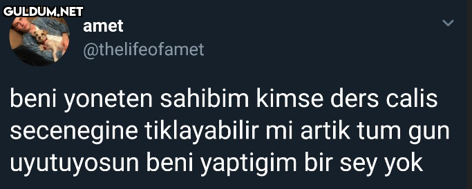 amet @thelifeofamet beni...
