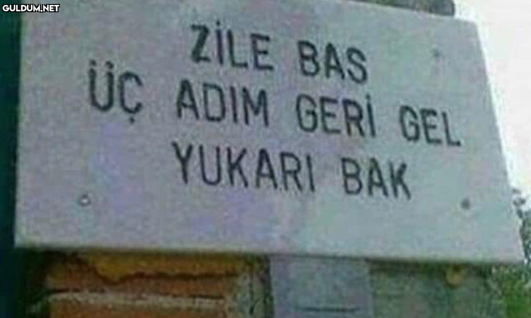 Polat Alemdar, Aslan...