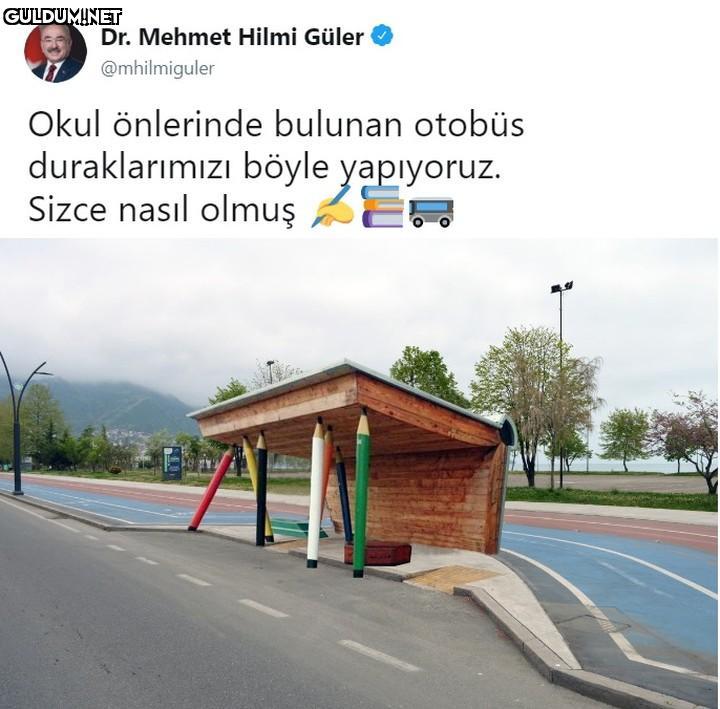 Dr. Mehmet Hilmi Güler...