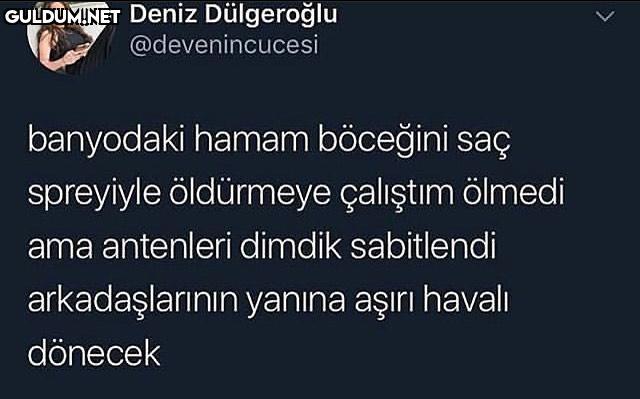 Deniz Dülgeroğlu...