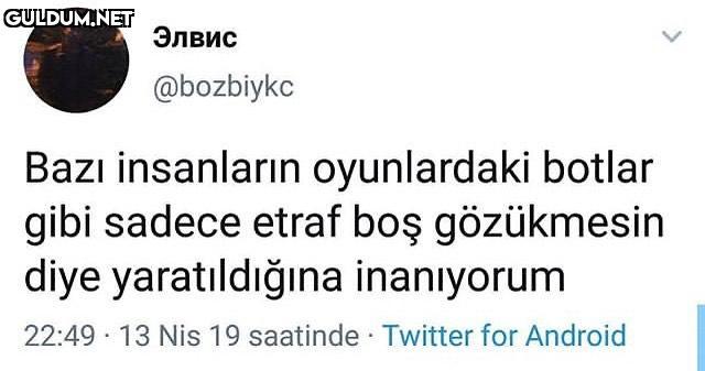 Элвис @bozbiykc Bazı...