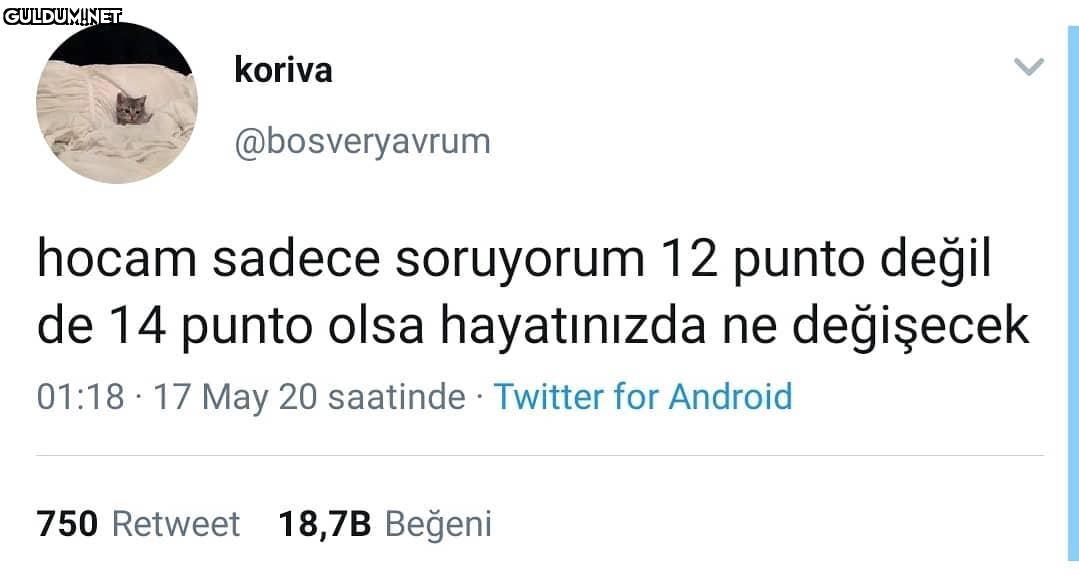 times new roman 12 punto...
