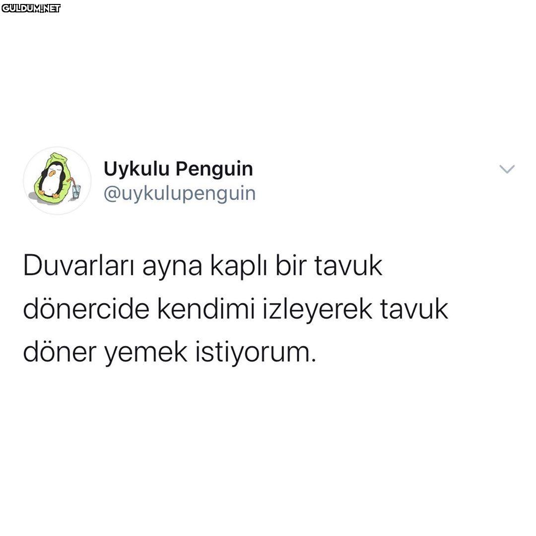 Uykulu Penguin...