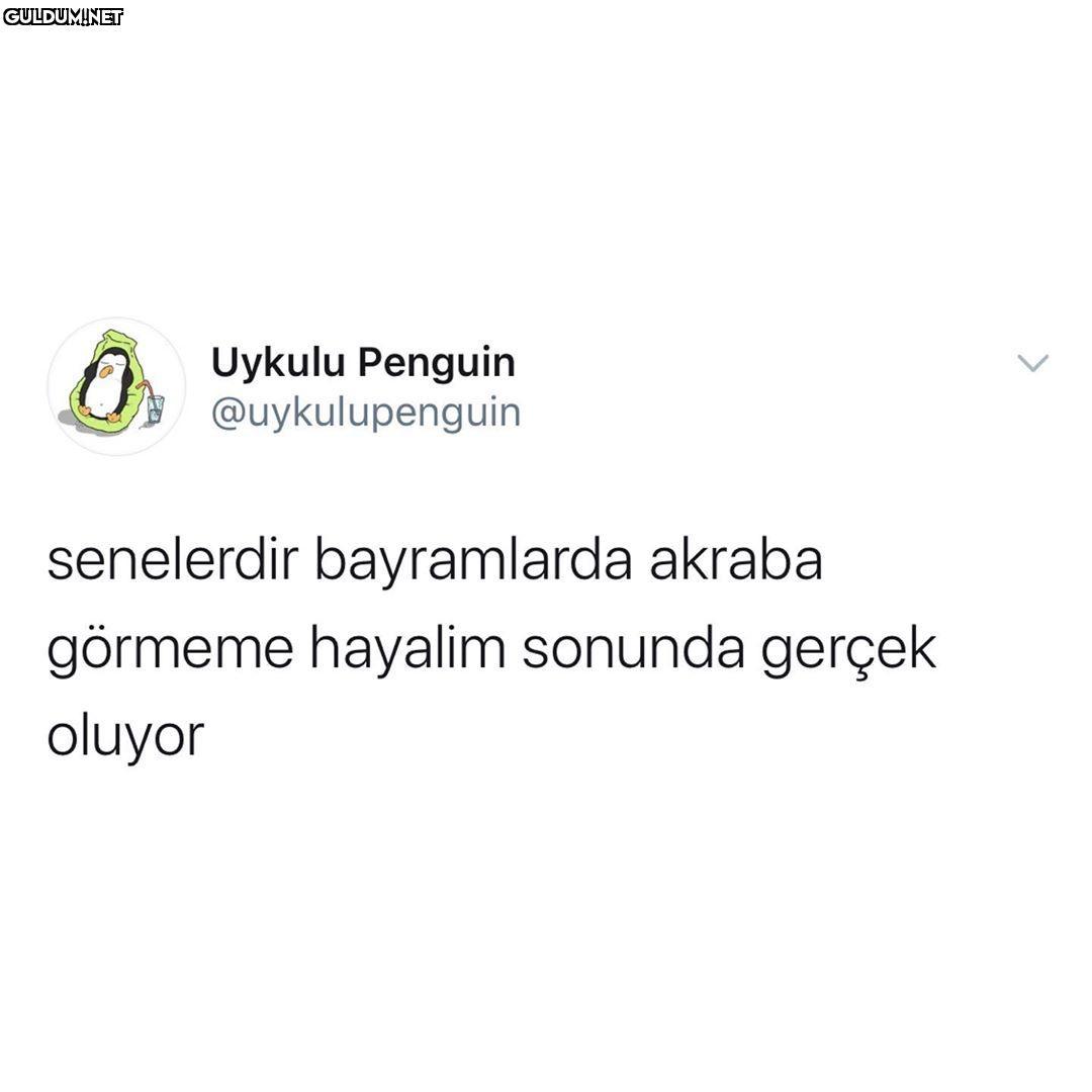 Uykulu Penguin...