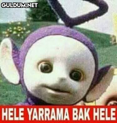 Hele yarrama bak hele