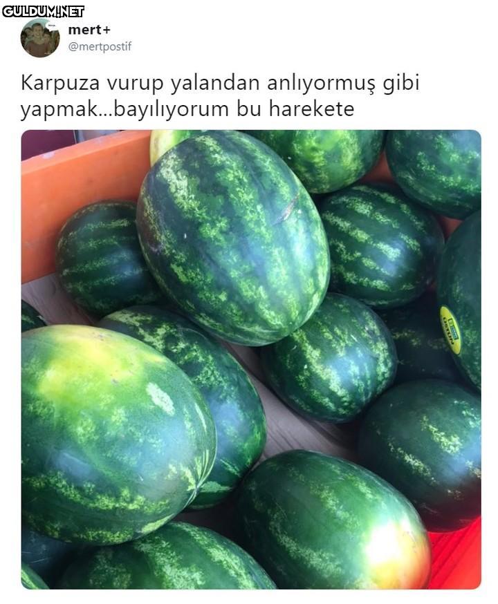 mert+ @mertpostif Karpuza...