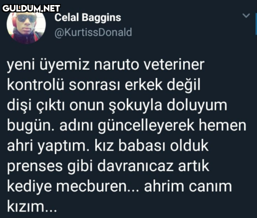 Celal Baggins...