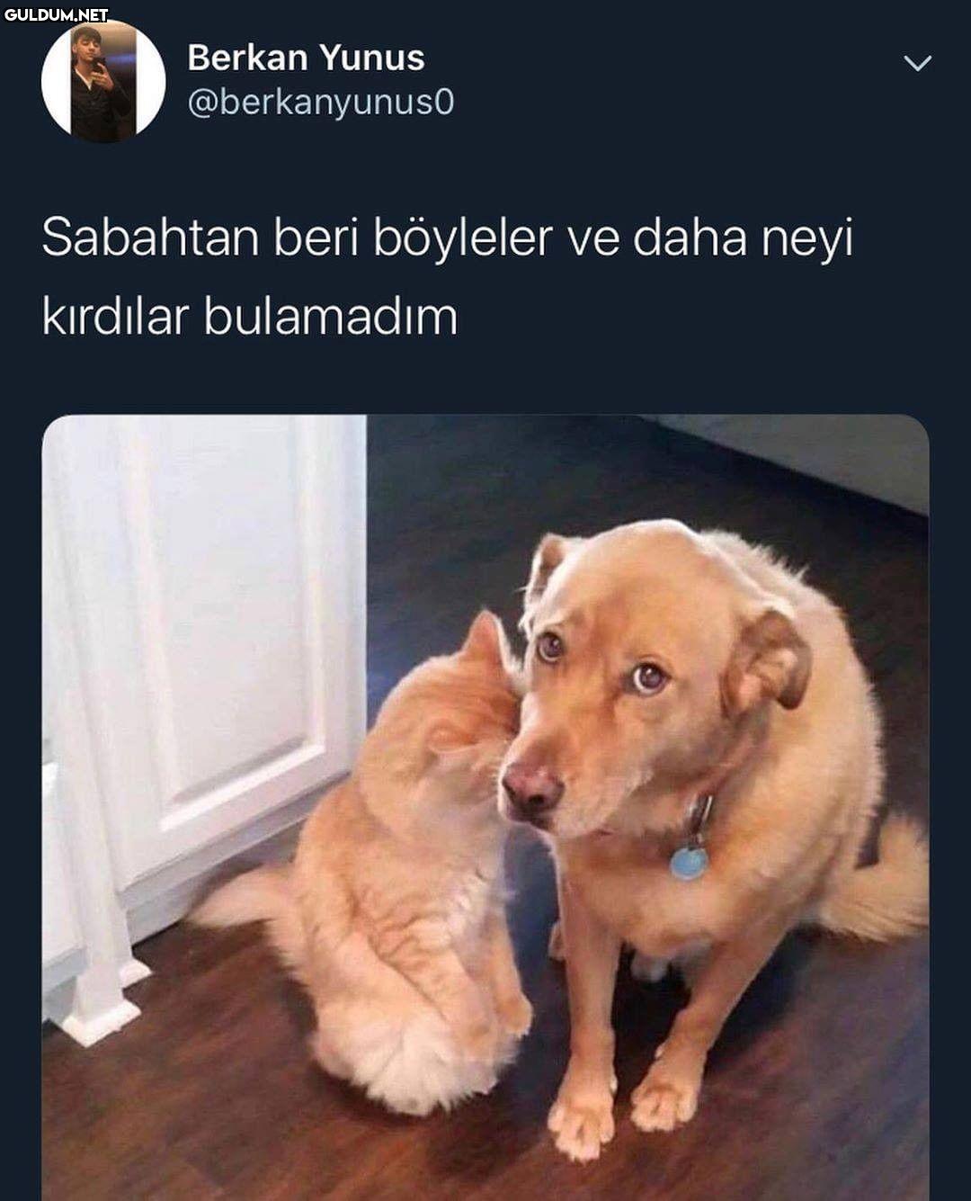 Berkan Yunus @berkanyunus0...