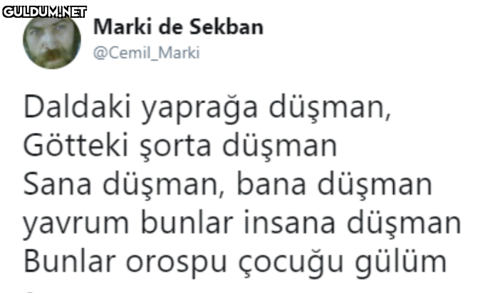 Marki de Sekban...