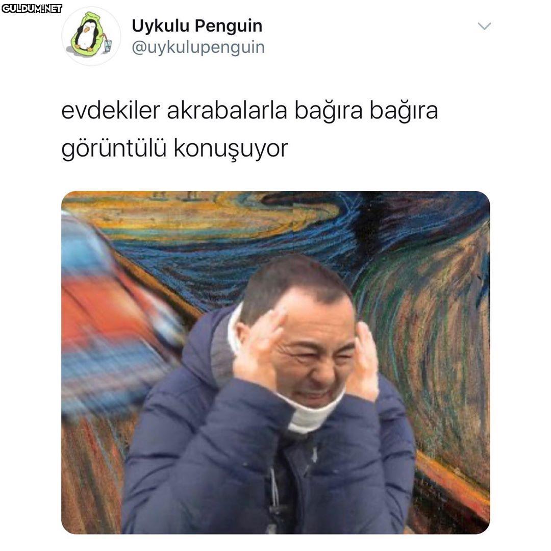 Uykulu Penguin...