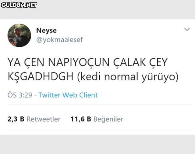 Neyse @yokmaalesef YA ÇEN...