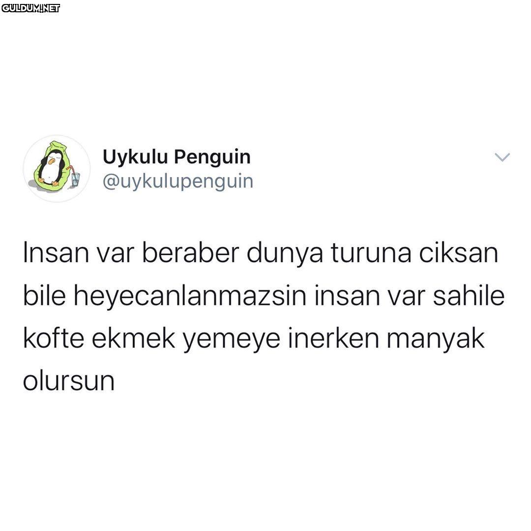 Siz kimi...