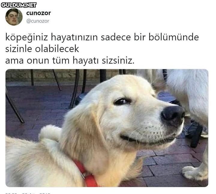 cunozor @cunozor köpeğiniz...