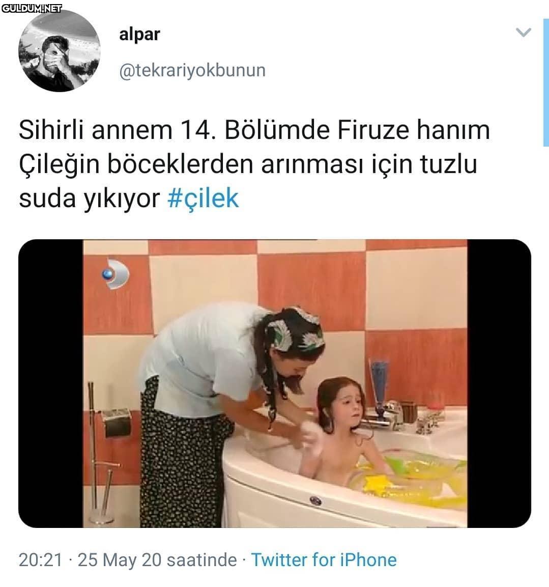 Böceklerden arınınca...