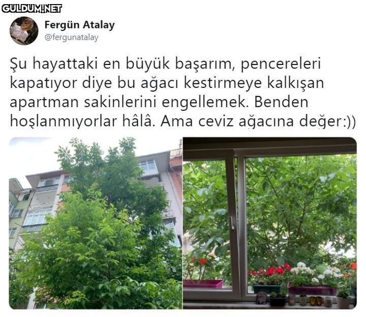 Fergün Atalay...
