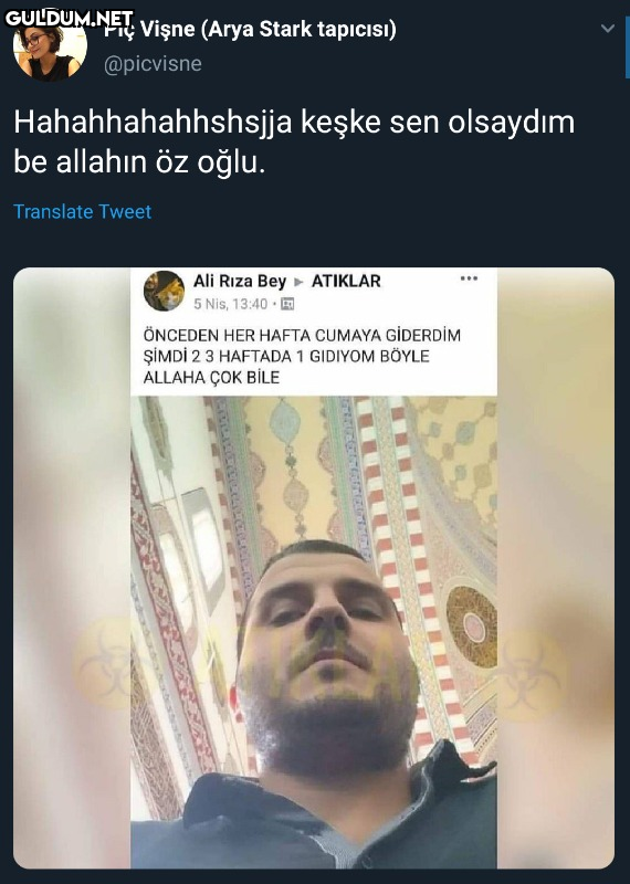Piç Vişne (Arya Stark...