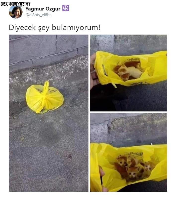 Nedir şu havanların...