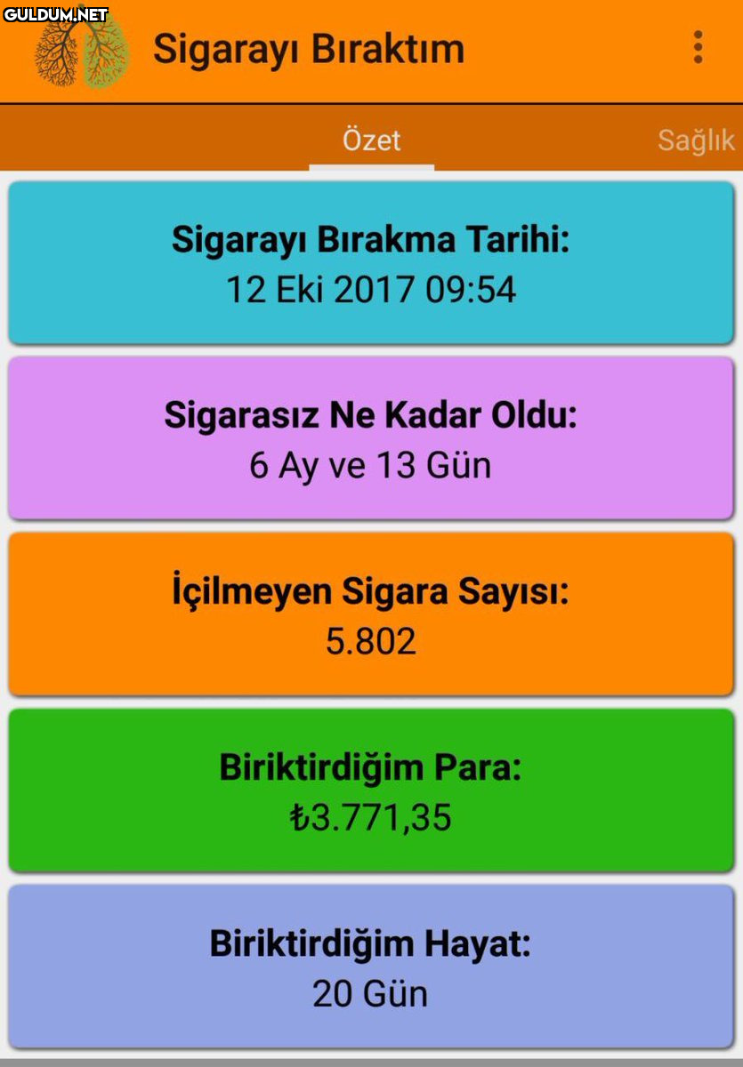 Sigarayı Bıraktım Özet...