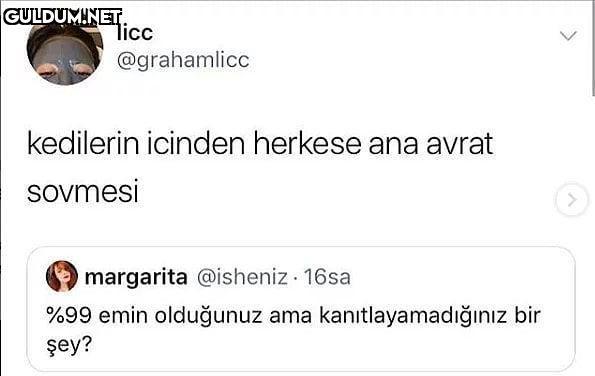 kediler uzaylıdır licc...
