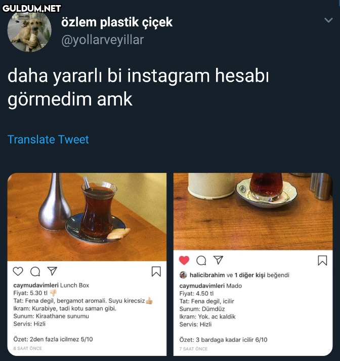 özlem plastik çiçek...