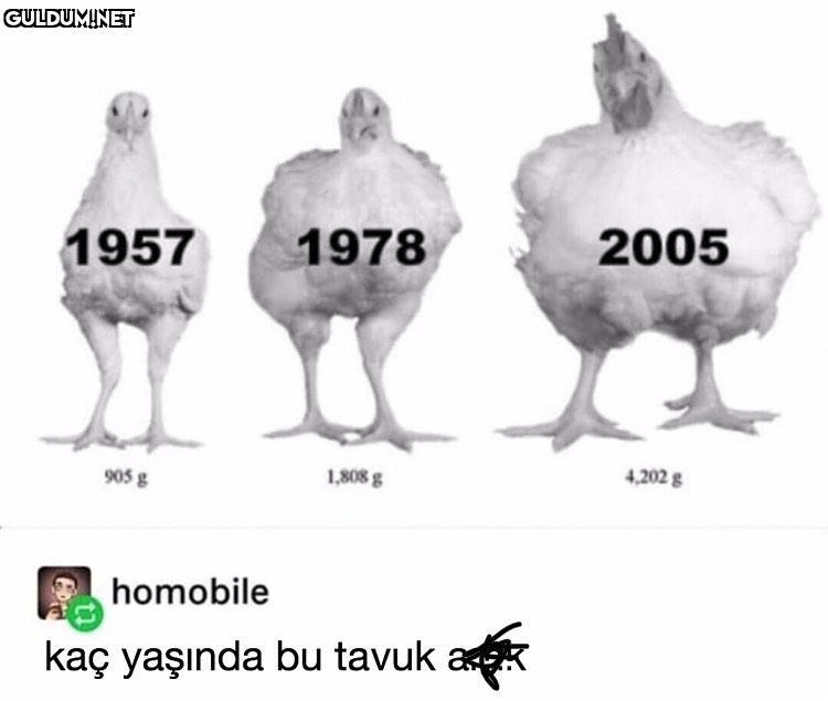 bu arkadaşı alın buradan...
