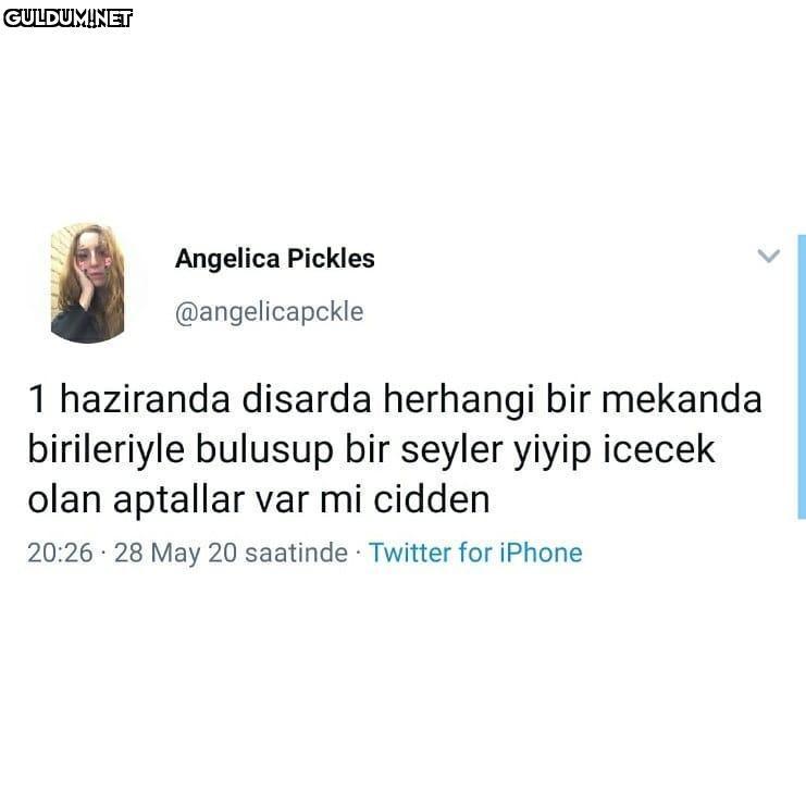 hemen çıkan aptaldır......
