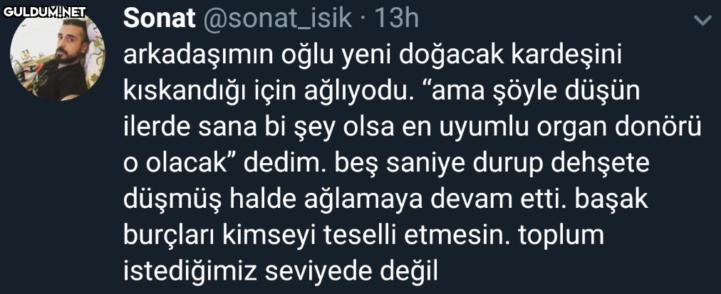 Sonat @sonat_isik · 13h...