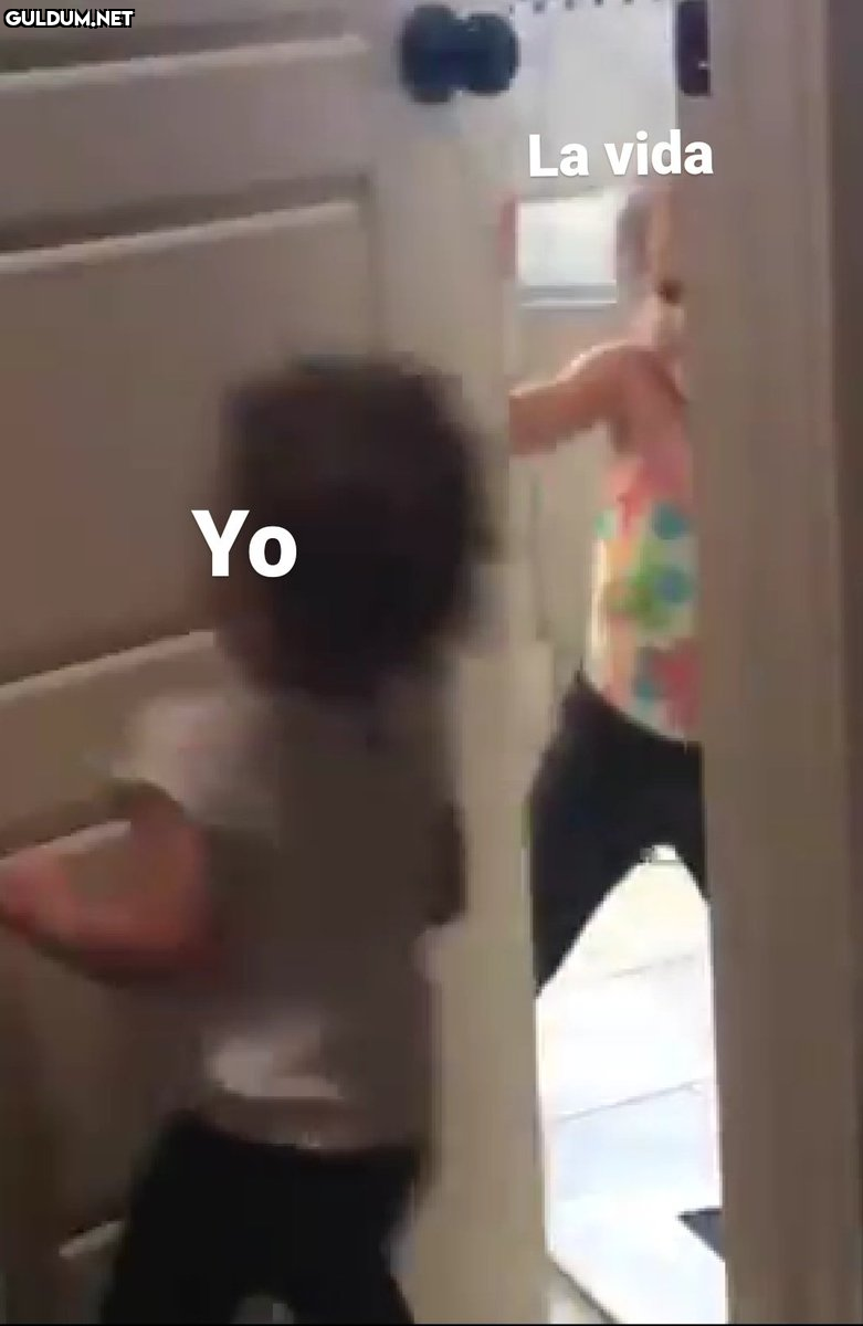 La vida Yo