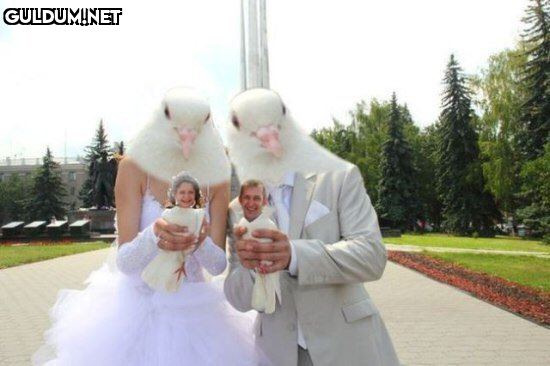 Güvercinler gelin damat...