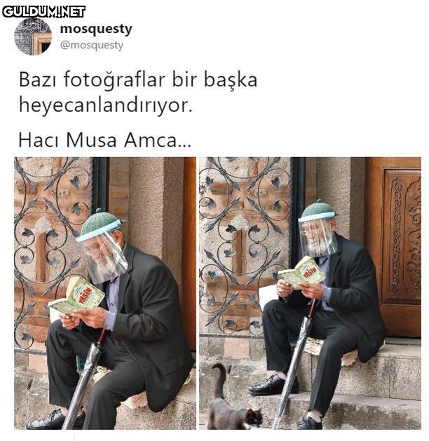 mosquesty @mosquesty Bazı...