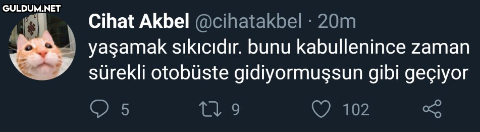 Cihat Akbel @cihatakbel ·...