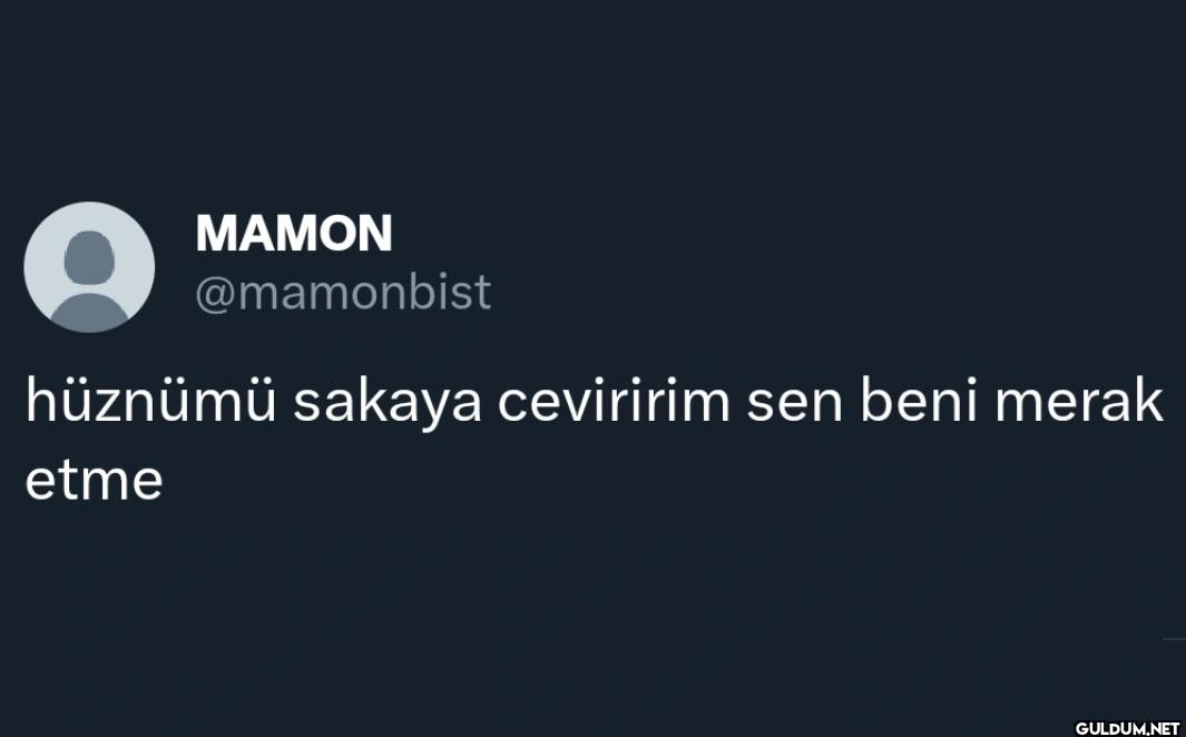 hüznümü sakaya ceviririm...