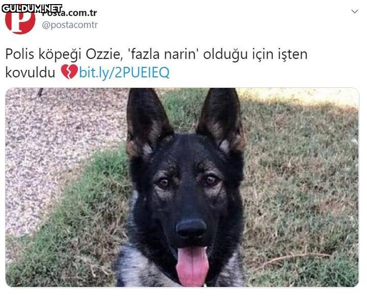 Ne yapmış hırsıza kapı mı...