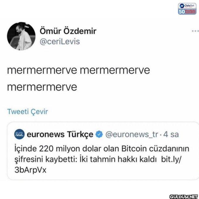 50 50 mermermerve...