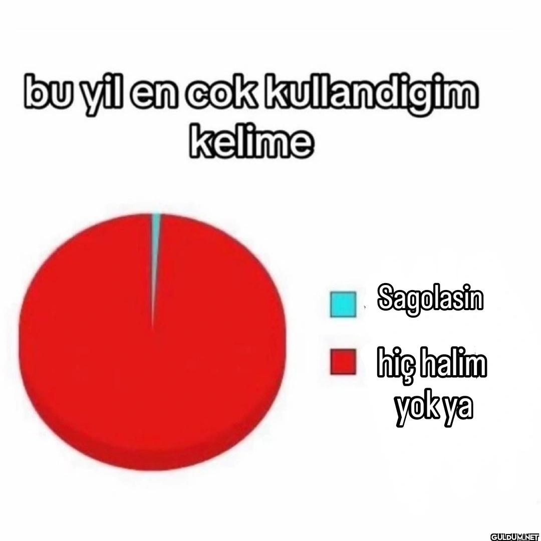 bu yil en cok kullandigim...