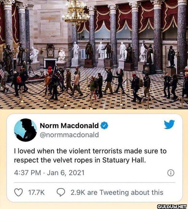 I loved when the violent...