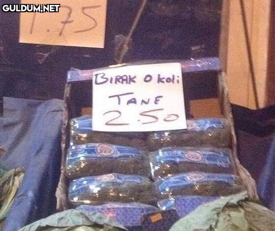 Bırak o koliyi evlat....