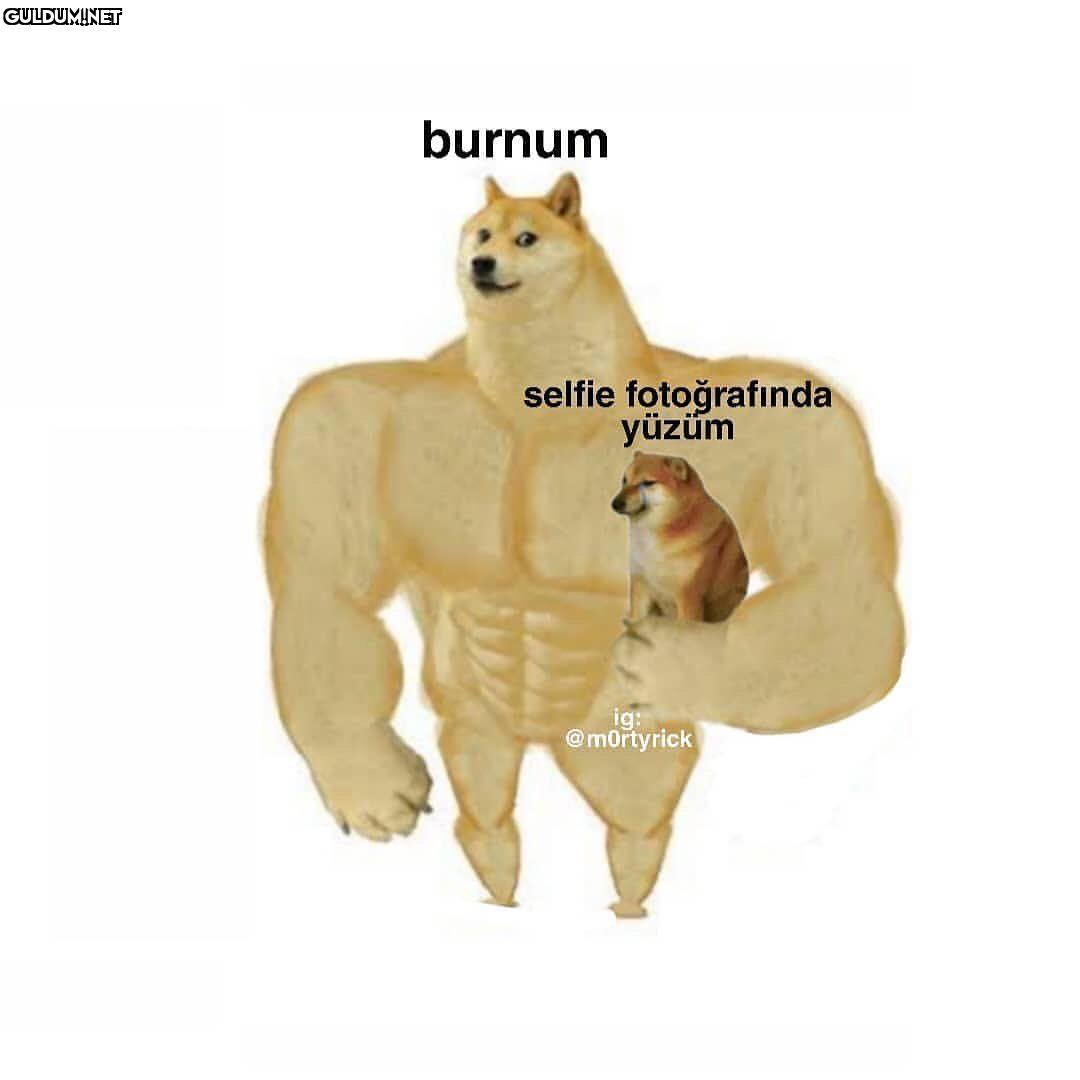 Karakteristik burun kanka...